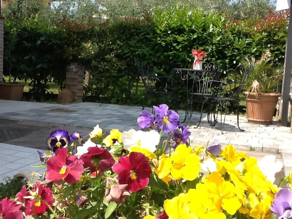 Villa Elisa Gambettola Exteriér fotografie